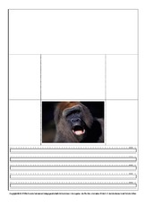 Popup-Buch-Gorilla-1-4.pdf